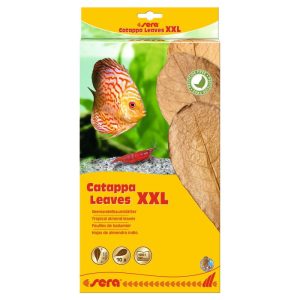 sera Catappa Leaves XXL 10 Stück sera Catappa Leaves XXL 10 Stück