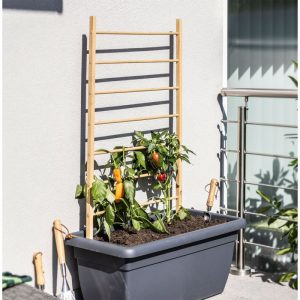 Windhager Holz-Rankhilfe Leiter 60×120 cm Windhager Holz-Rankhilfe Leiter 60×120 cm