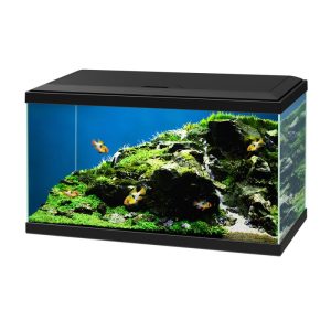 Aquarium Aqua 60 LED 58 L schwarz 60 x 30 x 33,5 cm Aquarium Aqua 60 LED 58 L schwarz 60 x 30 x 33,5 cm