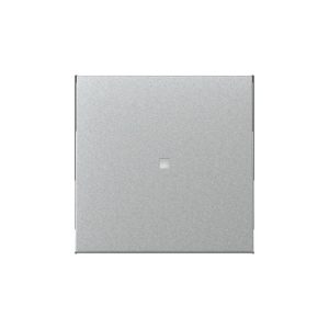 Gira Wippe Kontrollf. System 55 F Alu Gira Wippe Kontrollf. System 55 F Alu