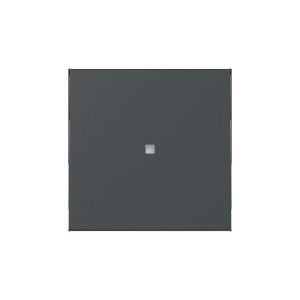 Gira Wippe Kontrollf. System 55 Anthrazit Gira Wippe Kontrollf. System 55 Anthrazit
