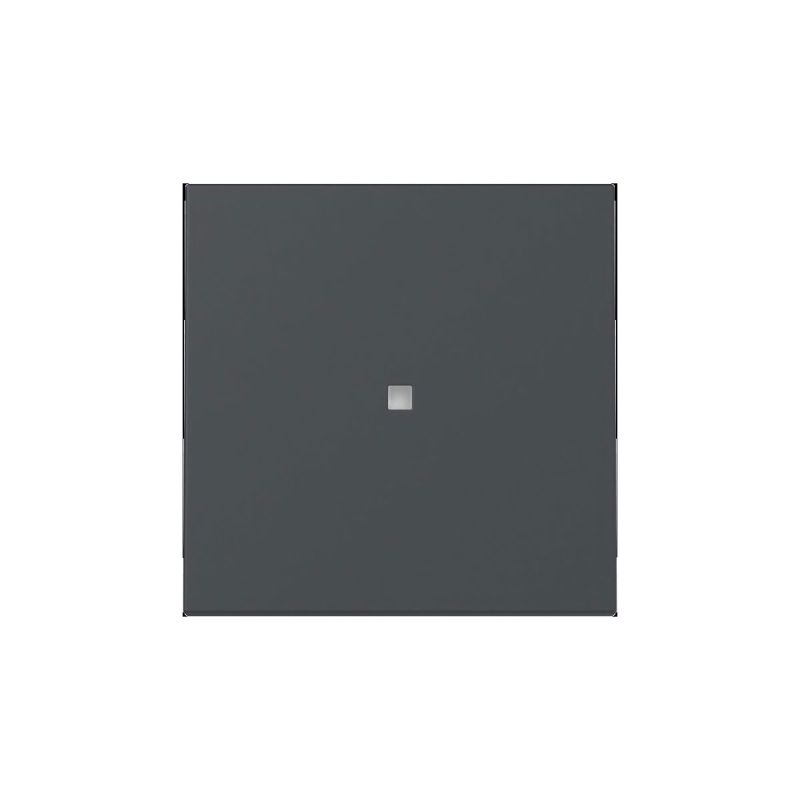 Gira  Wippe Kontrollf. System 55 Anthrazit