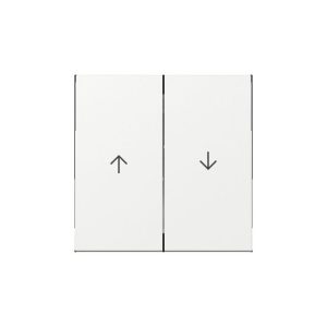 Gira Wippe 2f Pfeil System 55 Reinweiß Gira Wippe 2f Pfeil System 55 Reinweiß