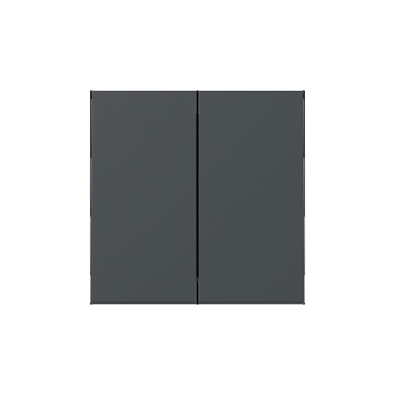 Gira  Wippe 2f System 55 Anthrazit