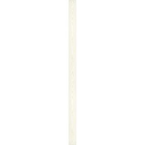 Specht Ambiente Paneel 10mm Pinie weiß Specht Ambiente Paneel 10mm Pinie weiß