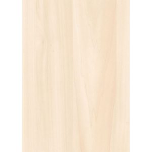 Specht Ambiente Paneel 10mm Birke hell Specht Ambiente Paneel 10mm Birke hell