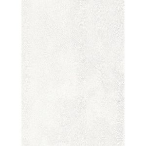 Specht Ambiente Paneel 10mm weiß Struktur Specht Ambiente Paneel 10mm weiß Struktur