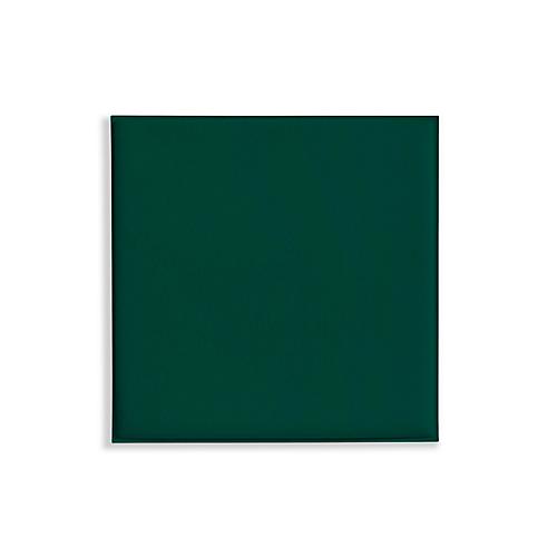 Deckenpaneele colorPAD®, für Rasterdecken, B 620 x T 620 x H 17 mm, tannengrün, glatt