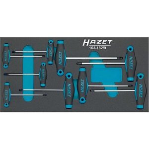 HAZET Werkzeugmodul 163-182/9, 9-teilig, Schraubendreher-Satz TORX T6-T30, B 342 x T 172 mm HAZET Werkzeugmodul 163-182/9, 9-teilig, Schraubendreher-Satz TORX T6-T30, B 342 x T 172 mm