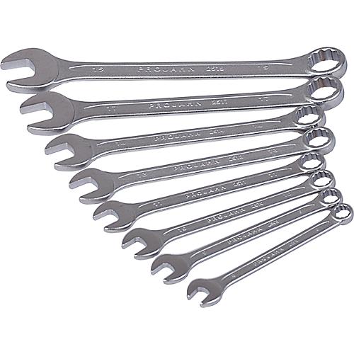 Projahn Ringmaulschlüsselset, 8-teilig, SW 8-19 mm, CV-Stahl, Sechskant; Zwölfkant