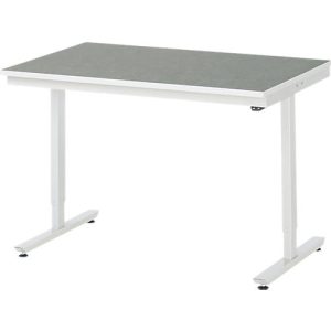 Rau Arbeitstisch Adlatus, elektrisch höhenverstellbar, 25 mm Spanplatte, Linoleumbelag, 150 kg, B 1250 x T 800 x H 720-1120 mm, hellgrau/lichtgrau Rau Arbeitstisch Adlatus, elektrisch höhenverstellbar, 25 mm Spanplatte, Linoleumbelag, 150 kg, B 1250 x T 800 x H 720-1120 mm, hellgrau/lichtgrau
