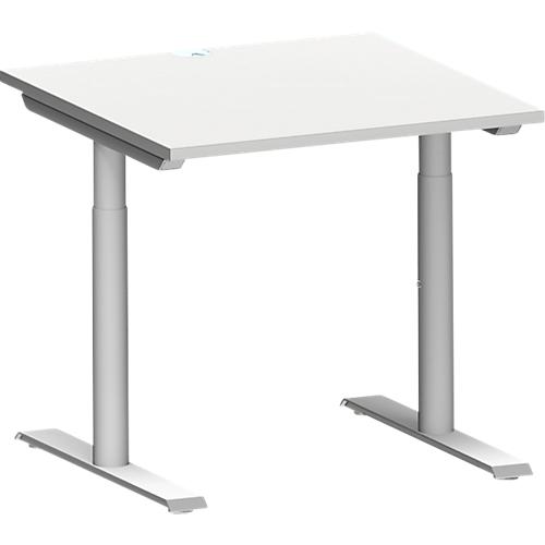 Schäfer Shop Genius Schreibtisch MODENA FLEX, T-Fuß-Rundrohr, B 800 x T 800 mm, lichtgrau