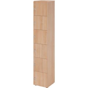 Schließfachschrank Topas Line, 6 Ordnerhöhen, 6 Fächer, Zylinderschloss, B 400 x T 420 x H 2156 mm, Nussbaum/Nussbaum