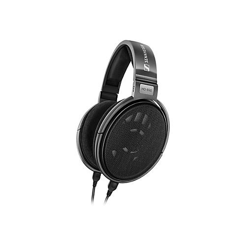 Sennheiser HD 650 - Kopfhörer - ohrumschließend - kabelgebunden - 6,35 mm Stecker - Titan