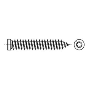 Spax RA Rahmenanker 7,5 x 210 mm Zylinderkopf T-STAR plus Vollgewinde Galvanisch blank verzinkt A2J Spax RA Rahmenanker 7,5 x 210 mm Zylinderkopf T-STAR plus Vollgewinde Galvanisch blank verzinkt A2J