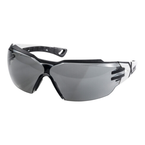Uvex Komfort-Schutzbrille uvex pheos cx2, Scheibentönung: GREY