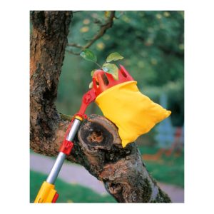 WOLF-Garten multi-star® Obstpflücker RG-M WOLF-Garten multi-star® Obstpflücker RG-M